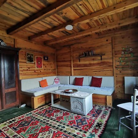 Chalet Belino Sokace Užice Buitenkant foto