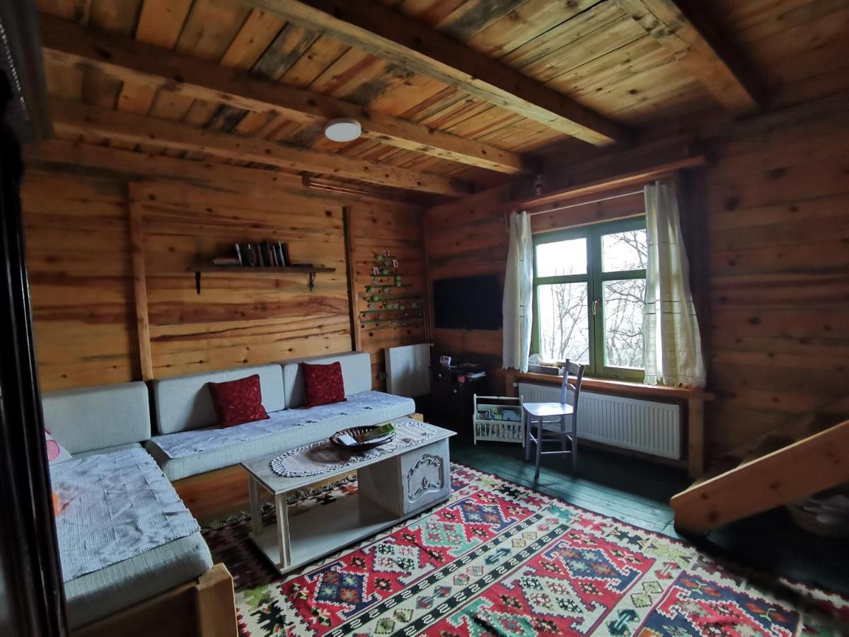 Chalet Belino Sokace Užice Buitenkant foto
