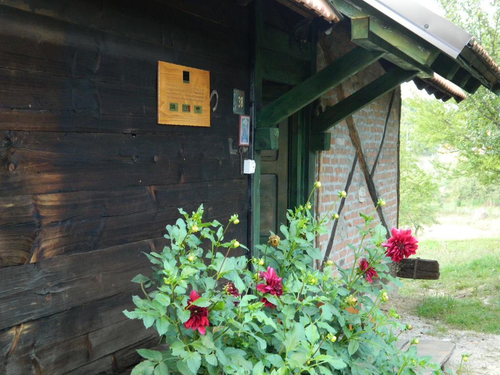 Chalet Belino Sokace Užice Buitenkant foto