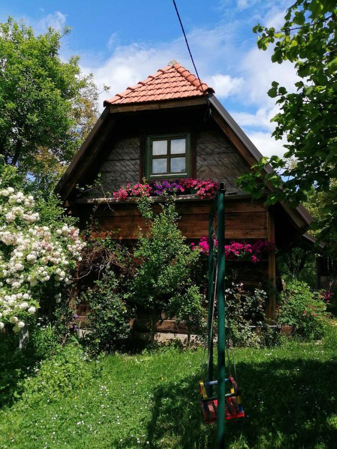 Chalet Belino Sokace Užice Buitenkant foto